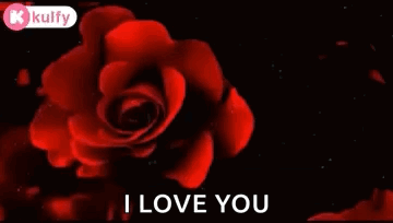 A Happy Afternoon Message With A Red Rose GIF