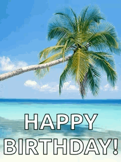 A Happy Birthday Card With A Palm Tree In The Foreground GIF