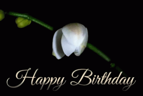 A Happy Birthday Card With A White Orchid On A Black Background GIF