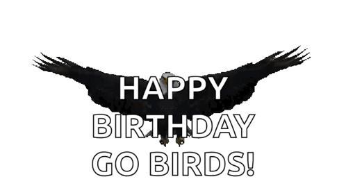 A Happy Birthday Go Birds Sign With A Black Bird GIF