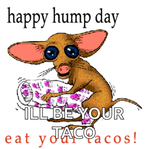 A Happy Hump Day Greeting With A Cartoon Dog GIF