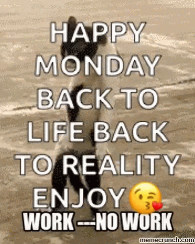 A Happy Monday Back To Life Back To Reality Enjoy No Work GIF