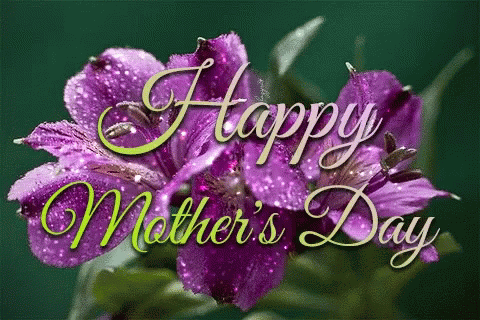 A Happy Mother 'S Day Card With Purple Flowers In The Background GIF