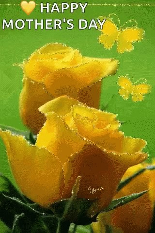 A Happy Mother 'S Day Card With Yellow Roses And Butterflies On A Green Background GIF