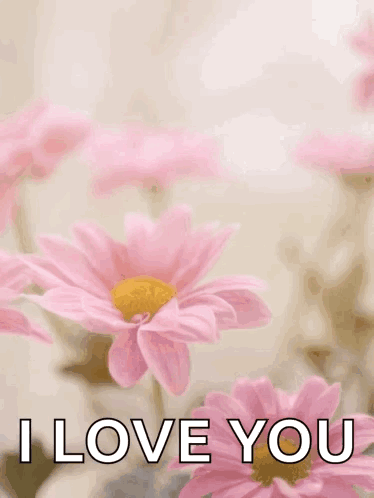 A Happy Mother 'S Day Greeting Card With Pink Flowers And The Words `` I Love You '' GIF