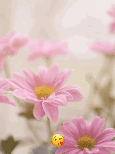 A Happy Mother 'S Day Greeting Card With Pink Flowers GIF