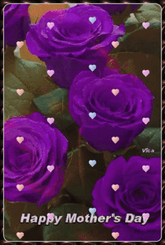 A Happy Mother 'S Day Greeting Card With Purple Roses GIF