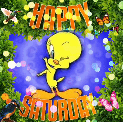 A Happy Saturday Greeting Card With Tweety In The Center GIF