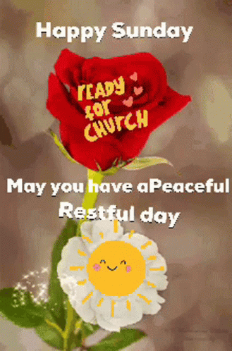 A Happy Sunday Message With A Red Rose And A White Flower GIF