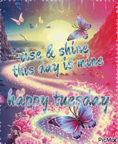 a happy tuesday card with butterflies and flowers