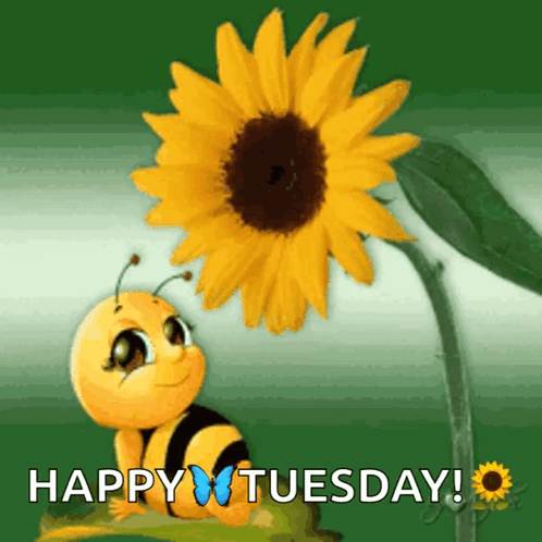 A Happy Tuesday Greeting Card With A Bee And Sunflower GIF