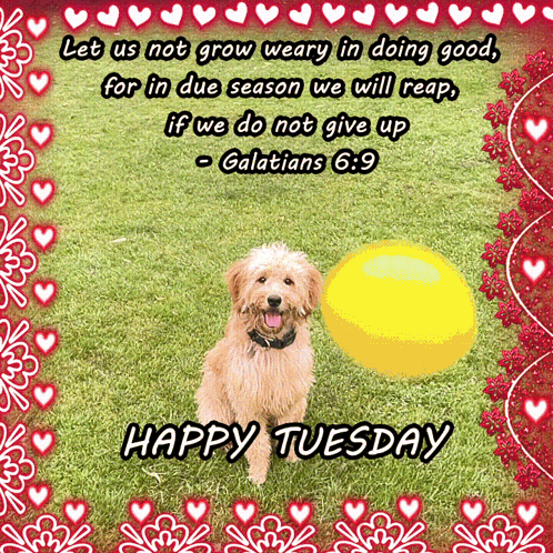 A Happy Tuesday Greeting Card With A Dog Holding A Yellow Ball GIF