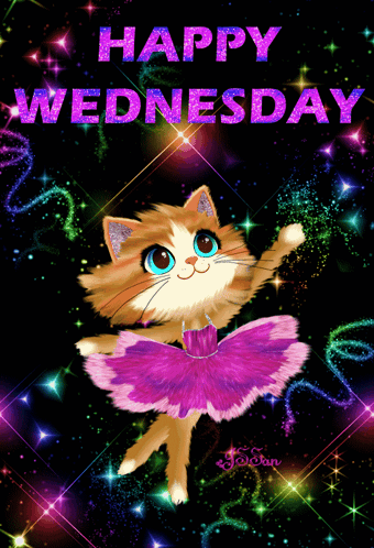 A Happy Wednesday Card With A Cat Wearing A Purple Tutu GIF