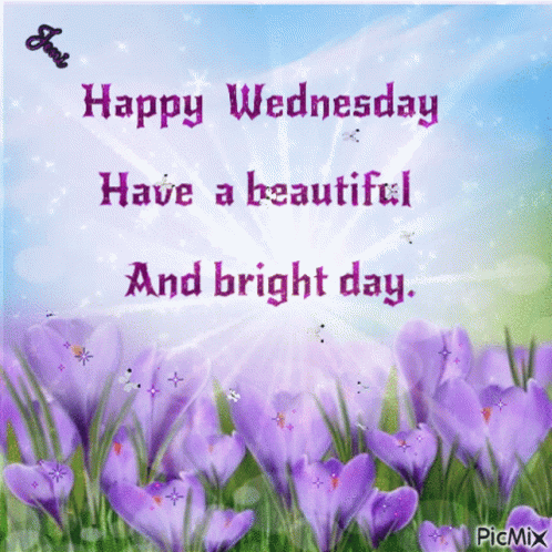 A Happy Wednesday Card With Purple Flowers And The Words Have A Beautiful And Bright Day GIF