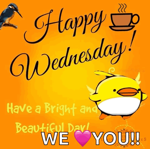 A Happy Wednesday Greeting Card With A Cartoon Duck And A Cup Of Coffee GIF
