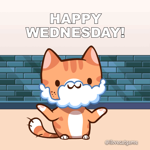A Happy Wednesday Greeting Card With A Cat With Foam On Its Face GIF