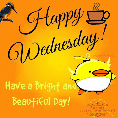 A Happy Wednesday Greeting Card With A Yellow Duck And A Cup Of Coffee GIF
