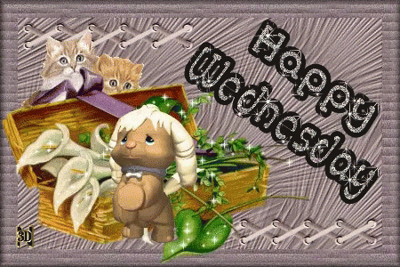 A Happy Wednesday Greeting Card With Cats And Flowers GIF
