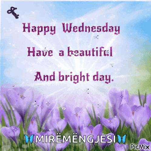 A Happy Wednesday Message With Purple Flowers GIF