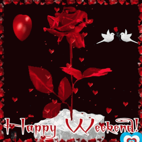 A Happy Weekend Greeting Card With A Red Rose And Two Birds GIF