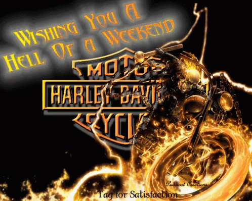A Harley Davidson Motorcycle With Flames Surrounding It GIF