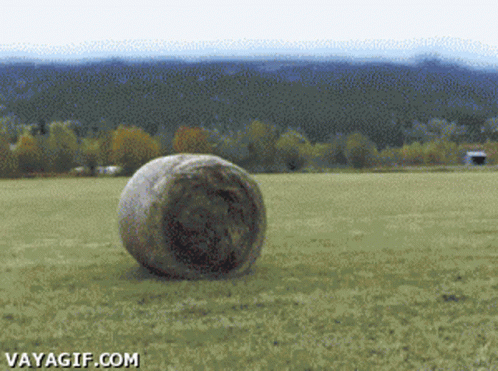 A Hay Bale In A Field With The Website Vayagif.com GIF