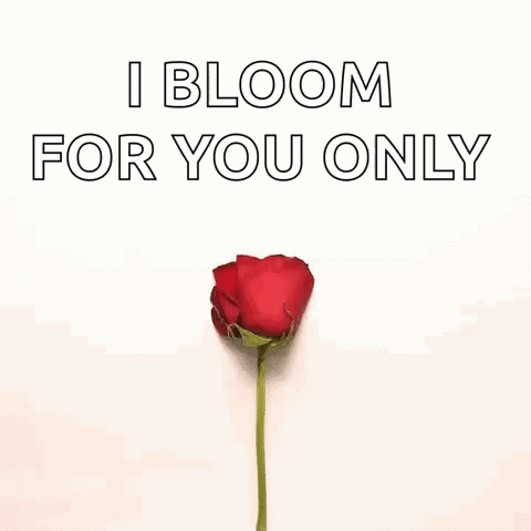 A Heart Made Out Of Rose Petals With The Words `` I Bloom For You Only '' Written On It . GIF
