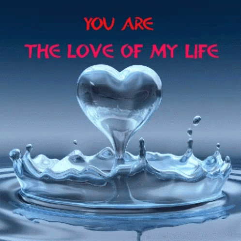 A Heart Shaped Drop Of Water With The Words " You Are The Love Of My Life " Above It GIF