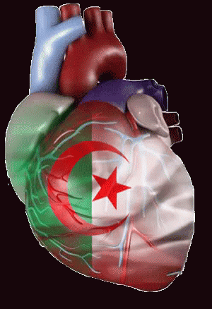 A Heart With The Flag Of Algeria Printed On It GIF