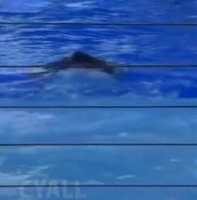 A Helicopter Is Flying Over A Body Of Water With The Words Fly All Visible GIF