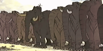 A Herd Of Elephants Standing Next To Each Other On A Dirt Field . GIF