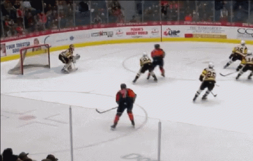 A Hockey Game Is Being Played In Front Of A Banner That Says Peanut 'S GIF