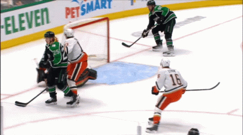 A Hockey Game Is Being Played In Front Of A Petsmart Banner GIF