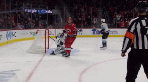 A Hockey Game Is Being Played In Front Of A Triangle Experts Banner GIF