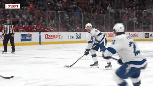 A Hockey Game Is Being Played In Front Of A Tsn Advertisement GIF