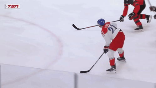 A Hockey Game Is Being Played In Front Of An Ad For Tim Hortons GIF