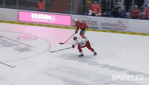 a hockey game is being played on a ice rink with advertisements for eurom and trix