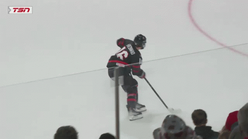 A Hockey Game Is Being Played With A Tsn Ad Behind The Goal GIF