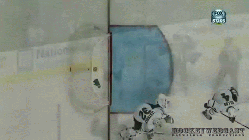 a hockey goalie wearing a helmet with the letters fox on it