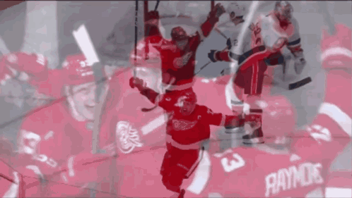 A Hockey Player In A Red Jersey With The Number 3 GIF