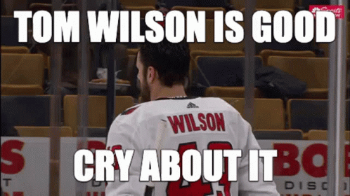 A Hockey Player In A White Jersey With The Name Wilson On It GIF