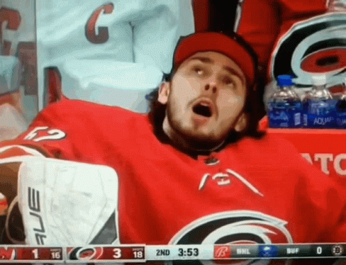 A Hockey Player Is Sitting In The Stands Watching A Game Between The Carolina Hurricanes And The New York Islanders GIF