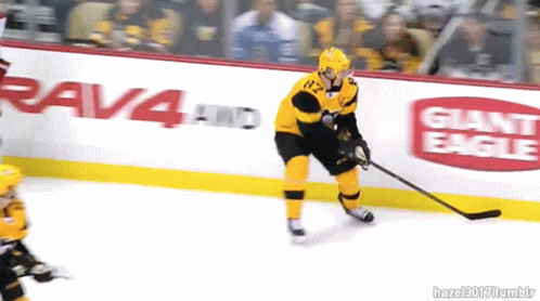 A Hockey Player Stands On The Ice In Front Of Giant Eagle And Rav4 Ads GIF