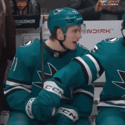 A Hockey Player Wearing A Ccm Jersey Is Talking To Another Player GIF