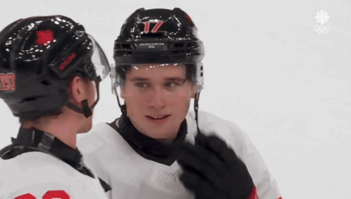 A Hockey Player With The Number 17 On His Helmet Is Talking To Another Player GIF