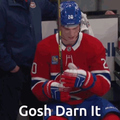 A Hockey Player With The Number 20 On His Helmet Is Holding A Hockey Stick GIF