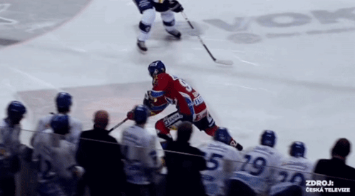 a hockey player with the number 29 on his jersey is being chased by another player
