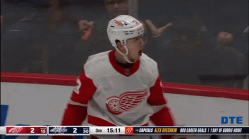 A Hockey Player With The Number 3 On His Jersey Celebrates A Goal GIF