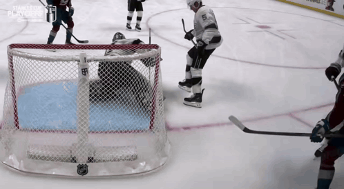 a hockey player with the number 5 on his jersey stands in front of the net