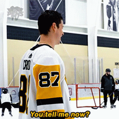 A Hockey Player With The Number 87 On His Jersey Stands On The Ice GIF